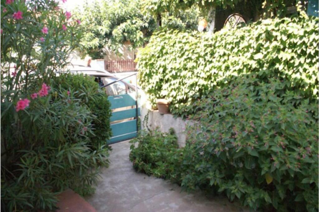 Belle Maison Avec Jardin A 1Mn De La Plage Le Grau-dʼAgde Kültér fotó